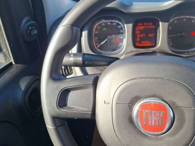 Fiat Panda Gebrauchtwagen Fiat Panda Gebrauchtwagen