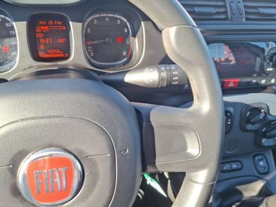Fiat Panda Gebrauchtwagen Fiat Panda Gebrauchtwagen
