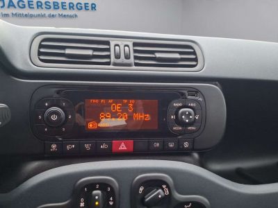 Fiat Panda Gebrauchtwagen