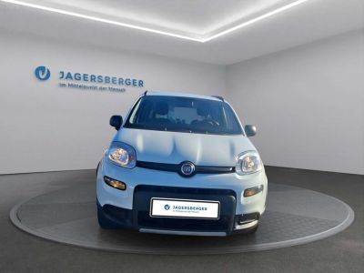 Fiat Panda Gebrauchtwagen Fiat Panda Gebrauchtwagen