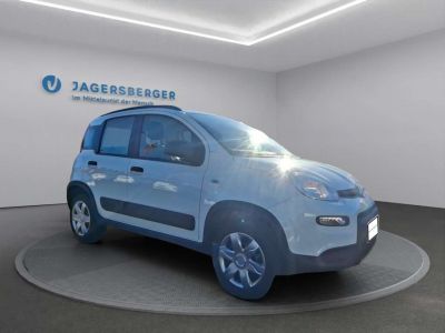 Fiat Panda Gebrauchtwagen Fiat Panda Gebrauchtwagen