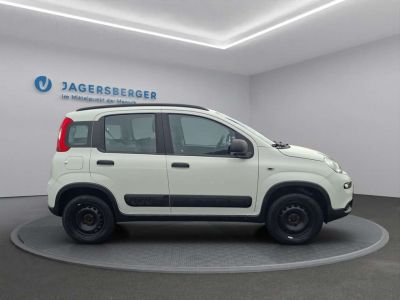 Fiat Panda Gebrauchtwagen