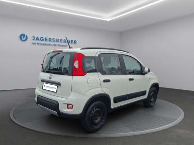Fiat Panda Gebrauchtwagen