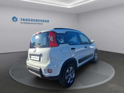 Fiat Panda Gebrauchtwagen Fiat Panda Gebrauchtwagen