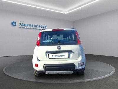 Fiat Panda Gebrauchtwagen Fiat Panda Gebrauchtwagen