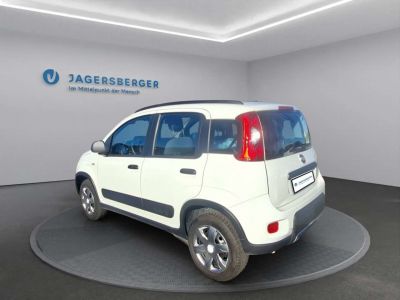 Fiat Panda Gebrauchtwagen Fiat Panda Gebrauchtwagen