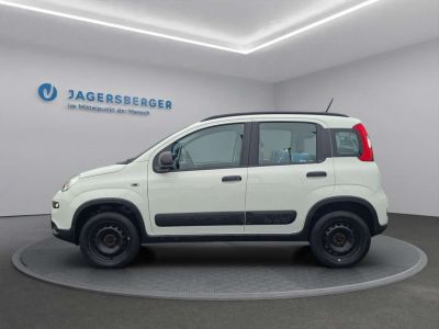 Fiat Panda Gebrauchtwagen