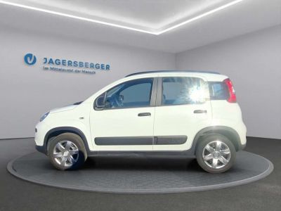 Fiat Panda Gebrauchtwagen Fiat Panda Gebrauchtwagen