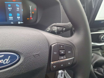 Ford Transit Neuwagen