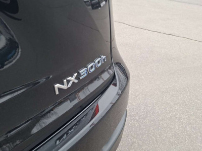 Lexus NX Gebrauchtwagen