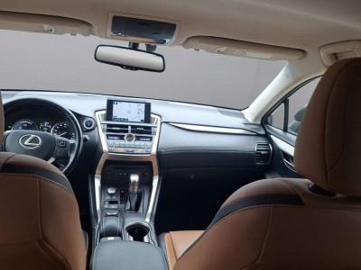 Lexus NX Gebrauchtwagen