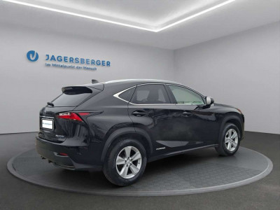 Lexus NX Gebrauchtwagen