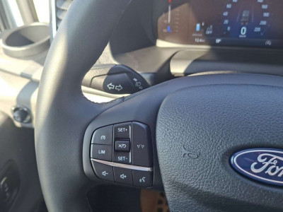 Ford Transit Neuwagen