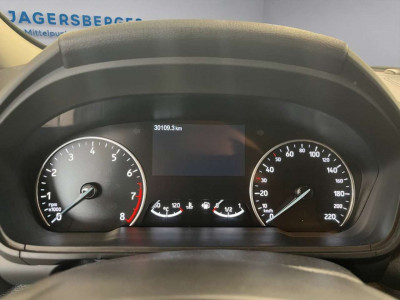 Ford EcoSport Gebrauchtwagen