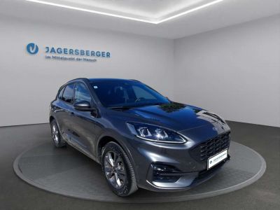 Ford Kuga Gebrauchtwagen Ford Kuga Gebrauchtwagen