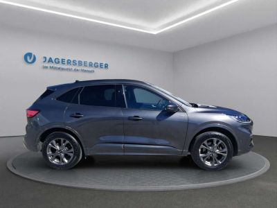 Ford Kuga Gebrauchtwagen Ford Kuga Gebrauchtwagen