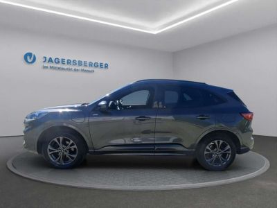 Ford Kuga Gebrauchtwagen Ford Kuga Gebrauchtwagen