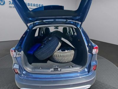 Ford Kuga Gebrauchtwagen Ford Kuga Gebrauchtwagen