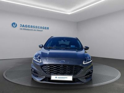 Ford Kuga Gebrauchtwagen Ford Kuga Gebrauchtwagen