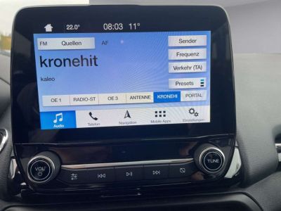 Ford EcoSport Gebrauchtwagen