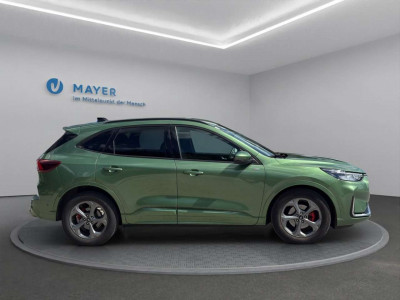 Ford Kuga Gebrauchtwagen Ford Kuga Gebrauchtwagen