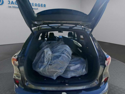Ford Kuga Gebrauchtwagen Ford Kuga Gebrauchtwagen