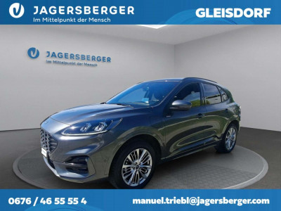 Ford Kuga Gebrauchtwagen Ford Kuga Gebrauchtwagen