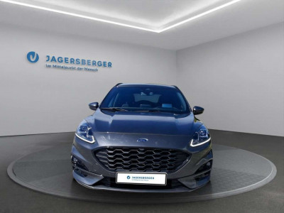Ford Kuga Gebrauchtwagen Ford Kuga Gebrauchtwagen