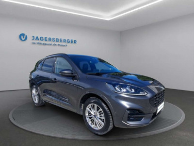 Ford Kuga Gebrauchtwagen Ford Kuga Gebrauchtwagen