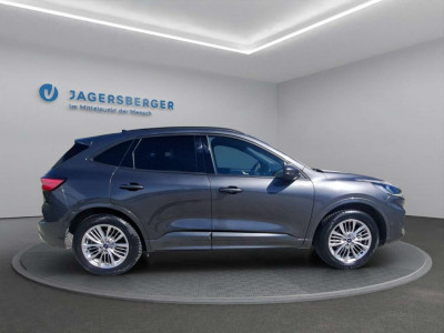 Ford Kuga Gebrauchtwagen Ford Kuga Gebrauchtwagen