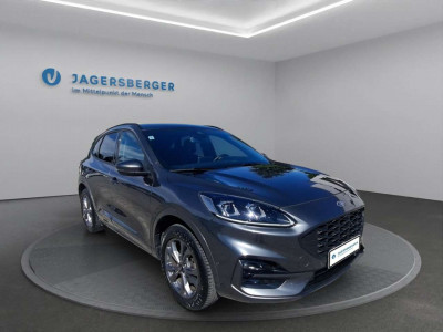 Ford Kuga Gebrauchtwagen Ford Kuga Gebrauchtwagen