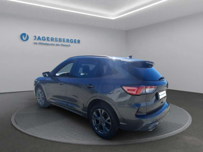 Ford Kuga Gebrauchtwagen Ford Kuga Gebrauchtwagen