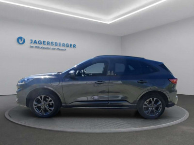 Ford Kuga Gebrauchtwagen Ford Kuga Gebrauchtwagen