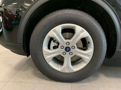 Ford Kuga Gebrauchtwagen Ford Kuga Gebrauchtwagen