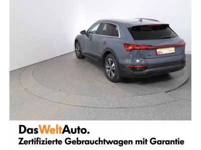 Audi Q8 e-tron Gebrauchtwagen