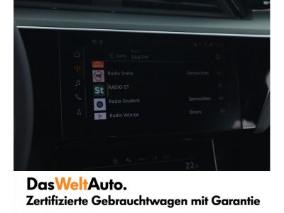 Audi Q8 e-tron Gebrauchtwagen