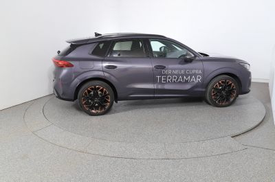 Cupra Terramar Gebrauchtwagen