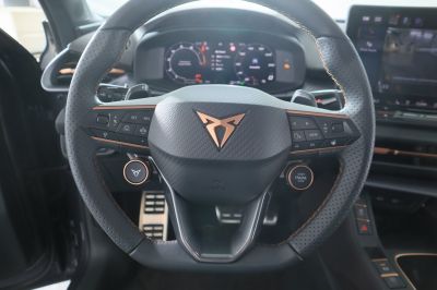 Cupra Terramar Gebrauchtwagen