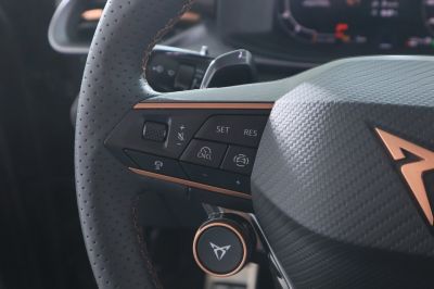 Cupra Terramar Gebrauchtwagen