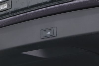 Cupra Terramar Gebrauchtwagen