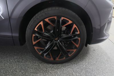 Cupra Terramar Gebrauchtwagen