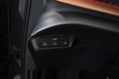 Cupra Tavascan Gebrauchtwagen