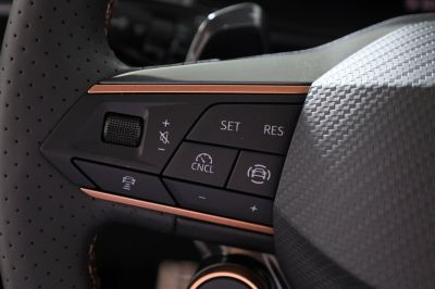 Cupra Terramar Gebrauchtwagen