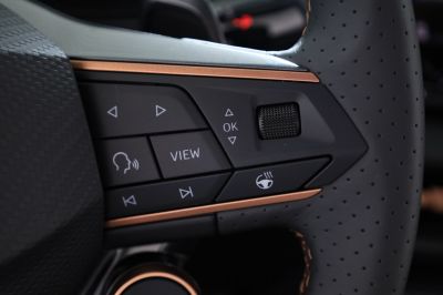 Cupra Terramar Gebrauchtwagen