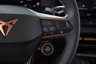 Cupra Terramar Gebrauchtwagen