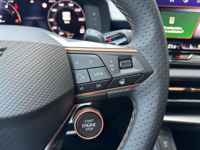 Cupra Terramar Gebrauchtwagen