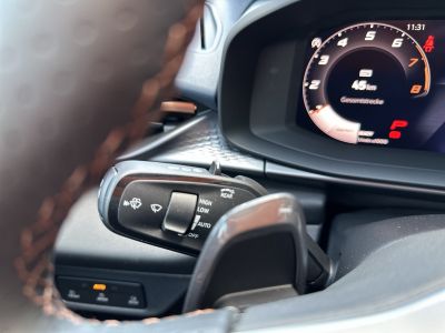 Cupra Terramar Gebrauchtwagen