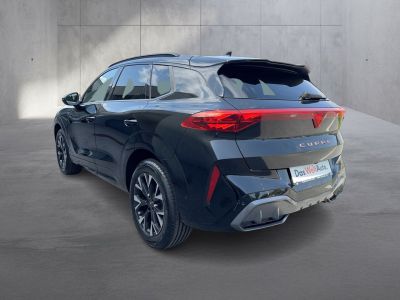 Cupra Terramar Gebrauchtwagen
