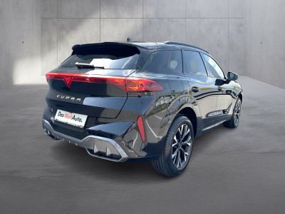 Cupra Terramar Gebrauchtwagen