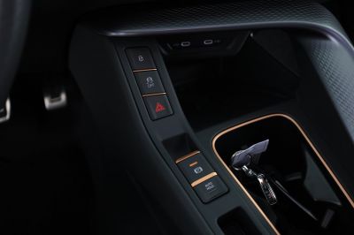 Cupra Terramar Gebrauchtwagen